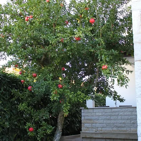 Nena דירה פולה